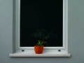 050